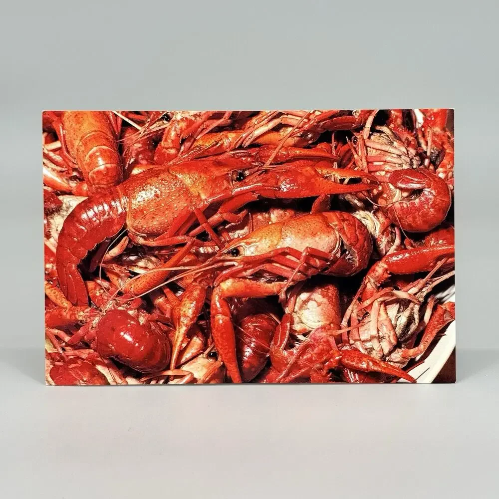 6 Unused Blank Louisiana Vintage Postcards Lot 3 Cajun Crawfish Raisin Cane